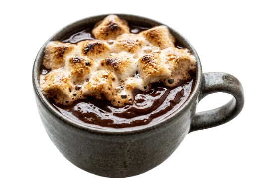 Hot Chocolate Mug with Toasted Marshmallows
