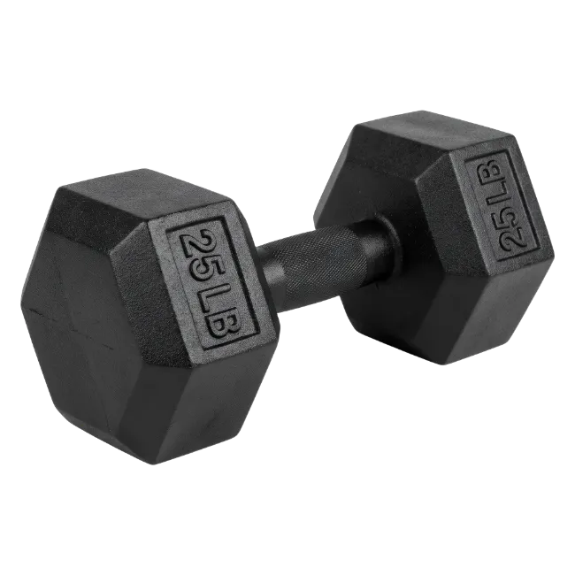 25 lb hex dumbbell fitness weight