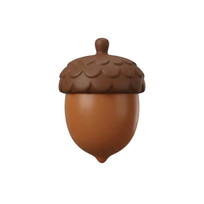 3D Brown Acorn Fruit Isolated