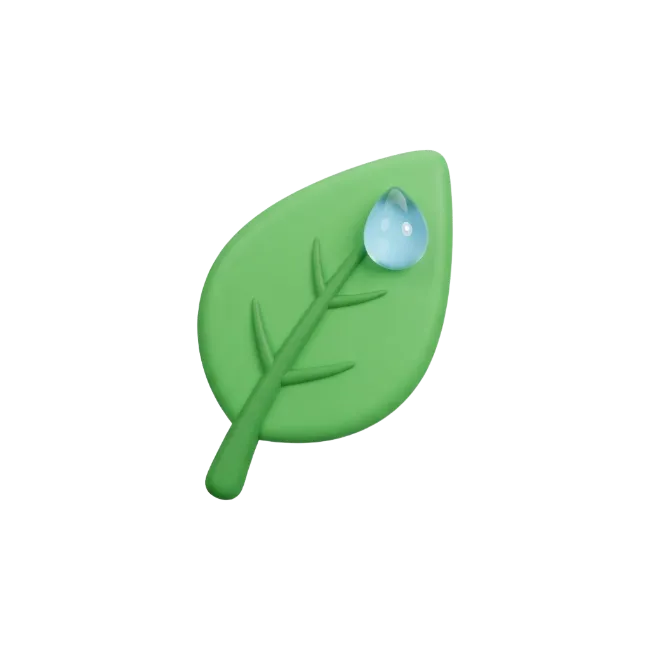 3D Green Leaf with Water Droplet