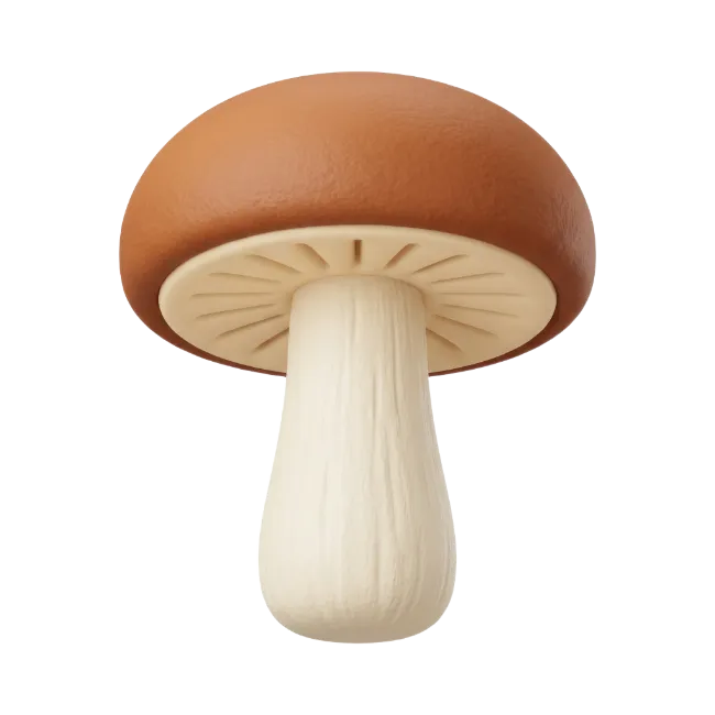 3D Rendered Mushroom Isolated