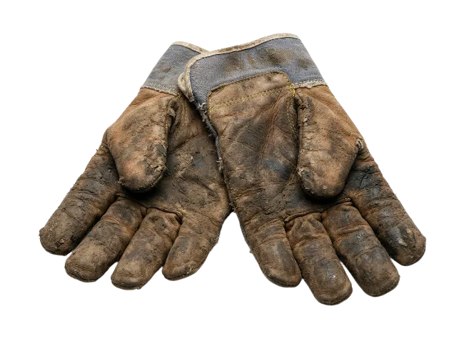 A pair of old work gloves