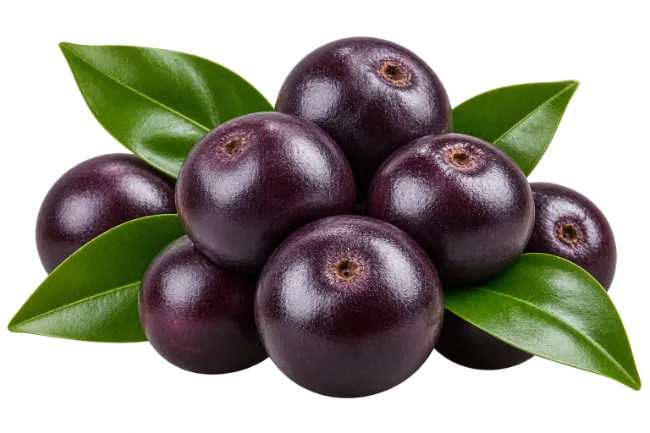 Acai Berries with Green Leaves