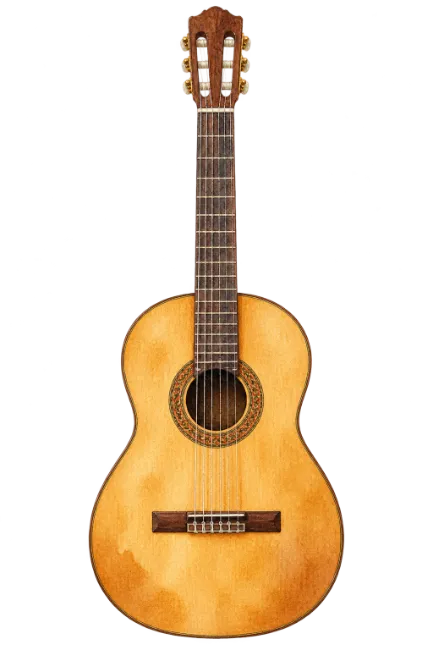 Acoustic Classical Guitar