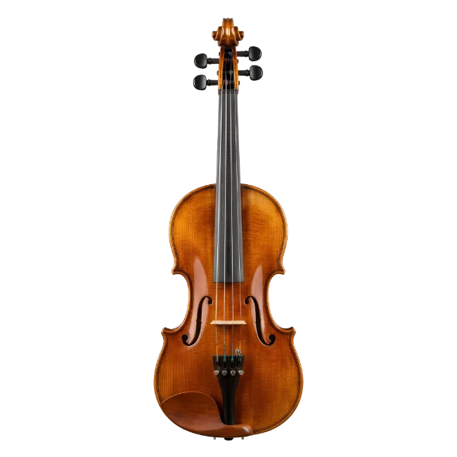 Acoustic Classical Violin Isolated on Black