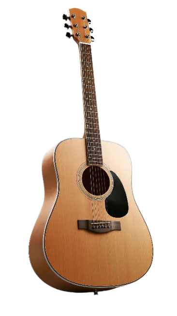 Acoustic Guitar