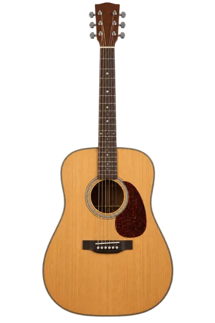 Acoustic Guitar Instrument
