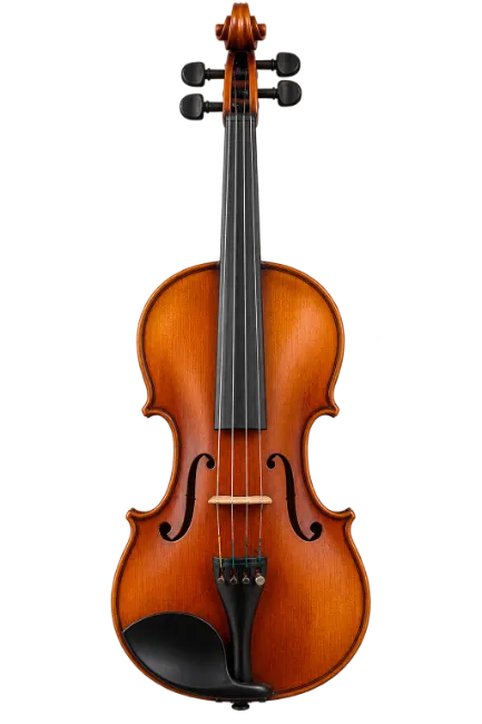 Acoustic Violin Musical Instrument