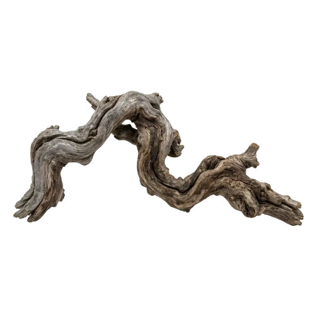 Aged Weathered Driftwood Branch