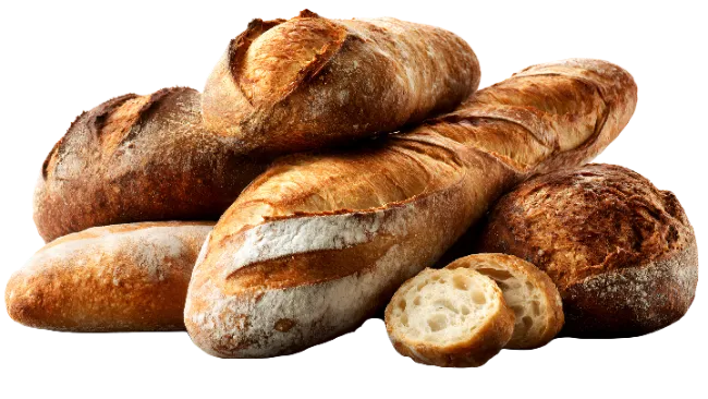 Assorted Freshly Baked Bread Loaves and Slices