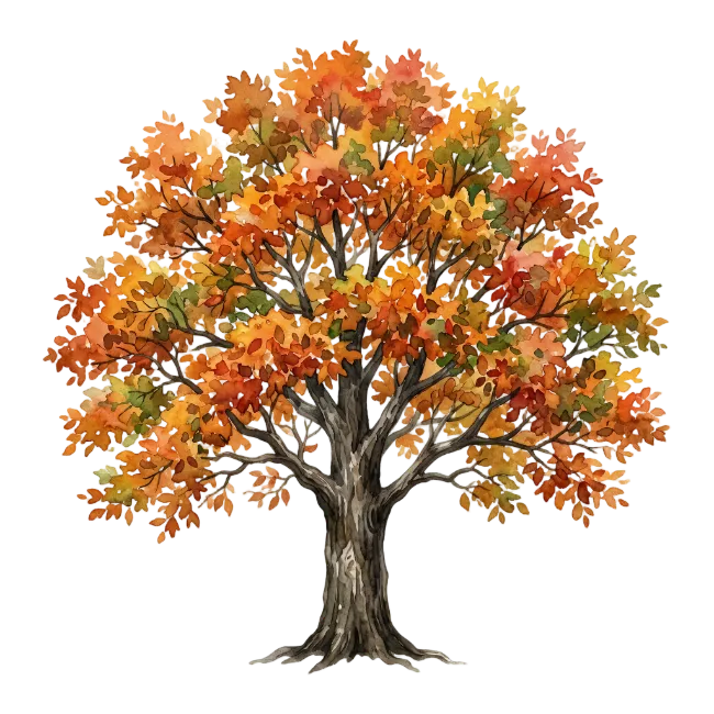 Autumn tree with vibrant orange and red leaves