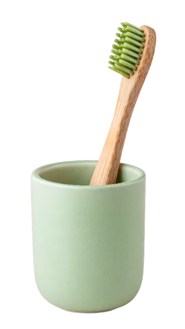 Bamboo Toothbrush in Green Holder