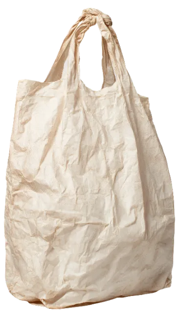 Beige Reusable Grocery Bag Isolated
