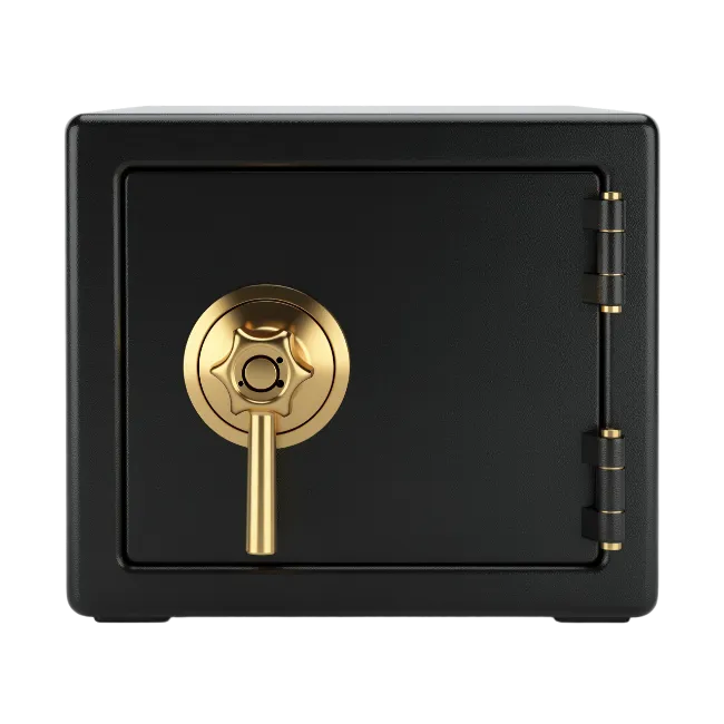 Black and gold security safe box