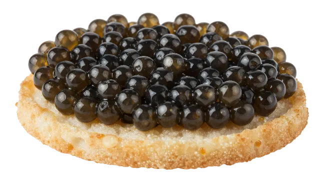 Black Caviar on Crispy Toast Canape