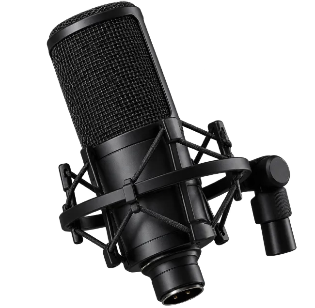 Black Condenser Microphone in Shock Mount