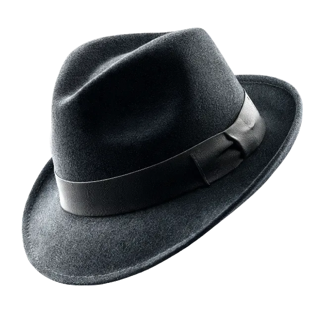 Black Fedora Hat with Ribbon