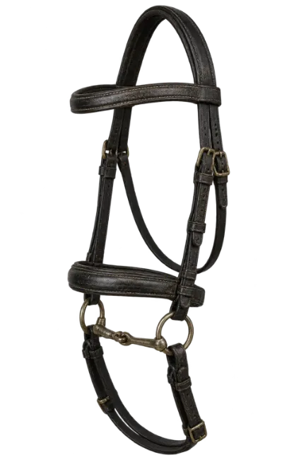 Black leather horse bridle with brass hardware