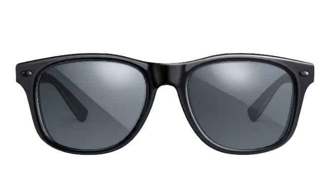 Black Wayfarer Sunglasses