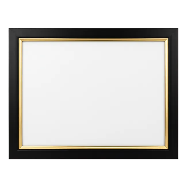 Blank picture frame with black and gold border