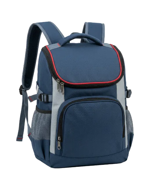 Blue and Grey School Backpack