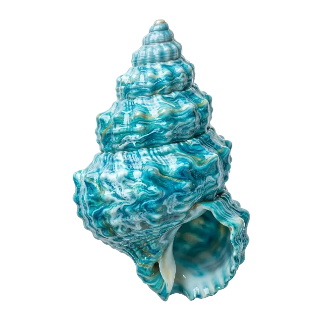 Blue and White Spiral Seashell