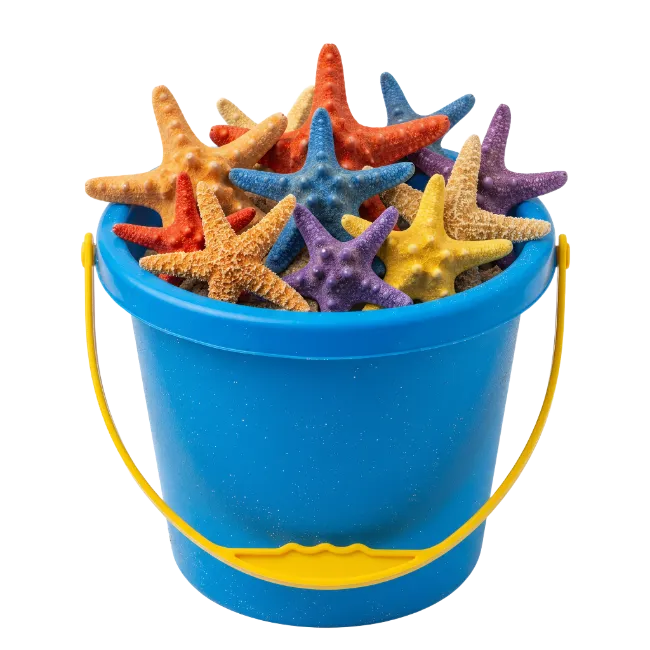 Blue Bucket Filled with Colorful Starfish