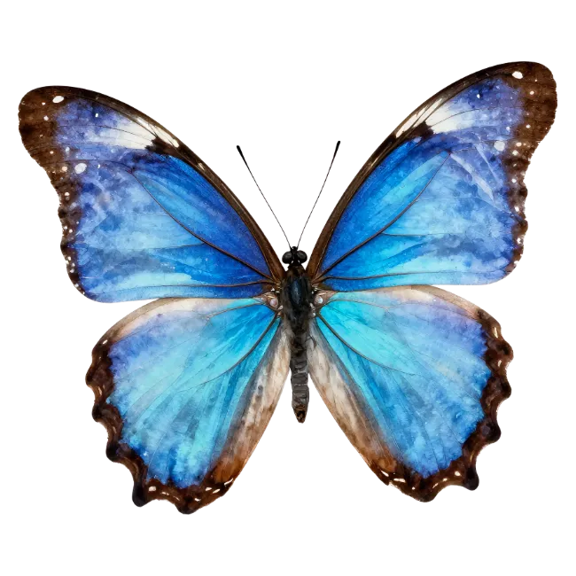 Blue Butterfly Isolated Illustration