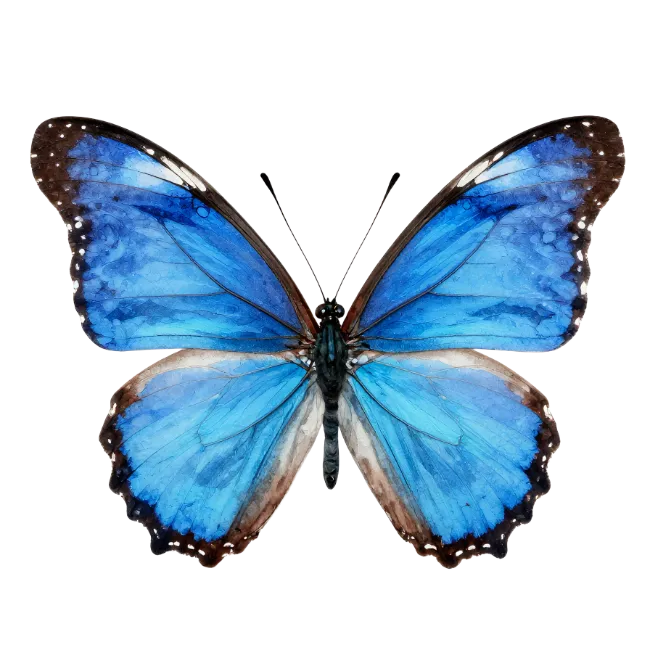 Blue Butterfly Watercolor Illustration