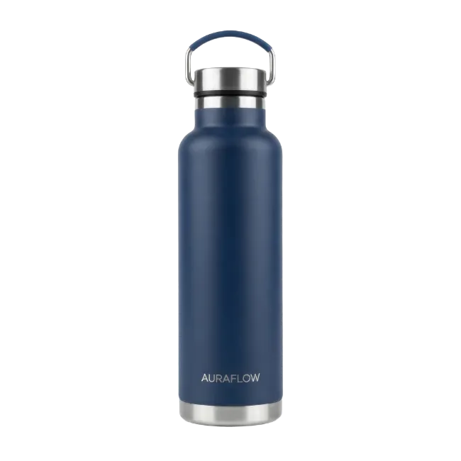 Blue Insulated Water Bottle with Silver Cap
