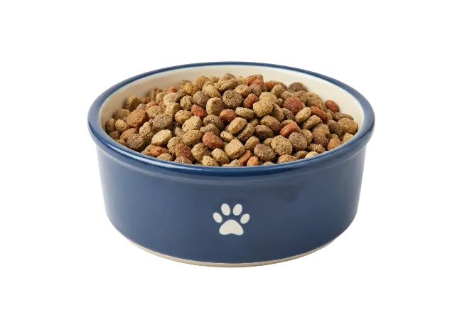 Blue Pet Bowl Filled With Dry Dog Food
