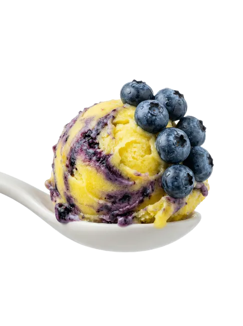 Blueberry Ice Cream Scoop on Spoon