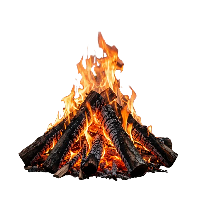 Bonfire Burning Wood Logs