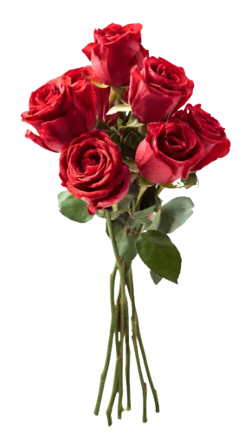 Bouquet of Red Roses