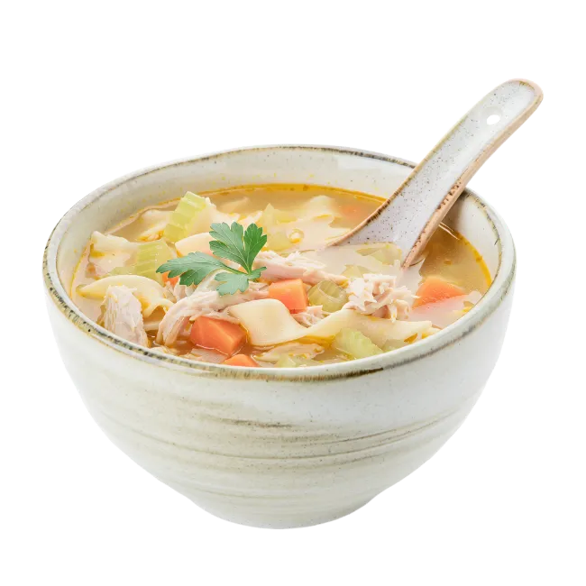 Bowl of Chicken Noodle Soup
