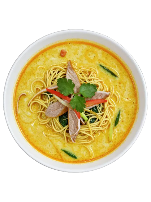 Bowl of Curry Noodle Soup