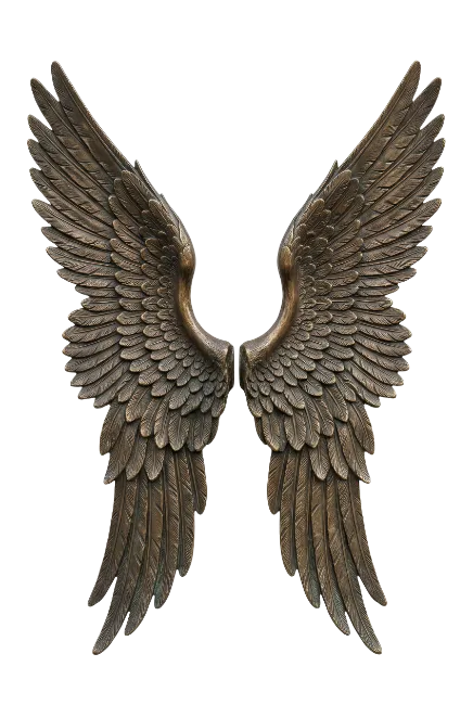 Bronze Angel Wings Sculpture