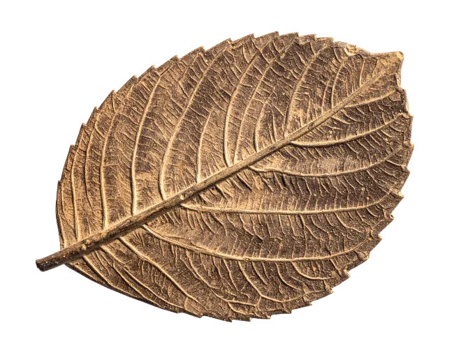 Bronze Leaf Sculpture Close Up