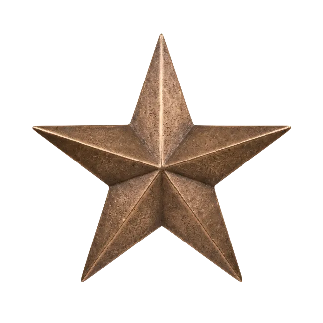 Bronze Star Shape Emblem
