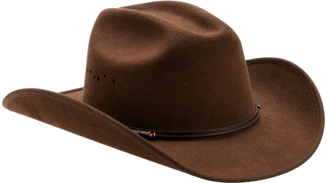 Brown Cowboy Hat