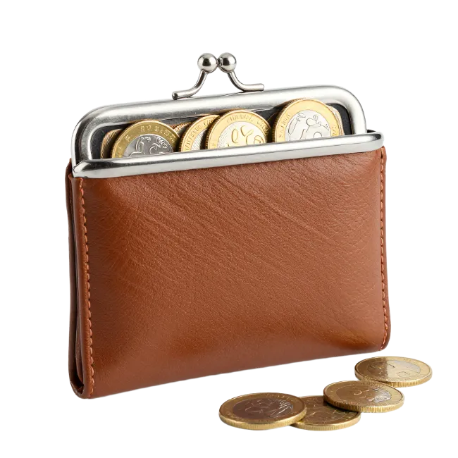 Brown Leather Coin Purse with Gold Coins