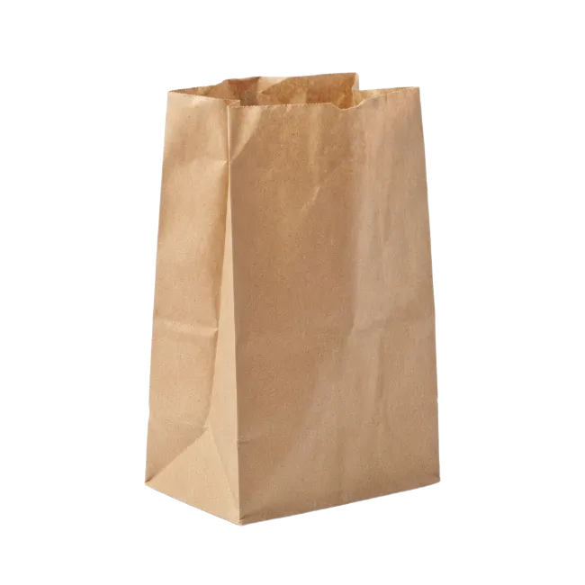 Brown paper grocery bag