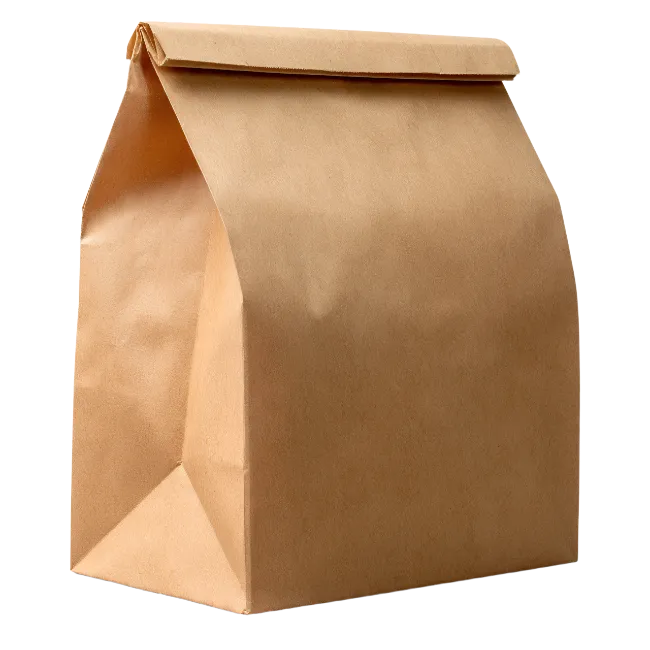 Brown Paper Lunch Bag