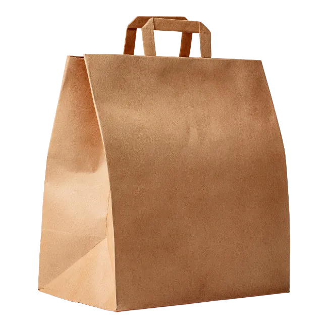 Brown Paper Shopping Bag with Handles