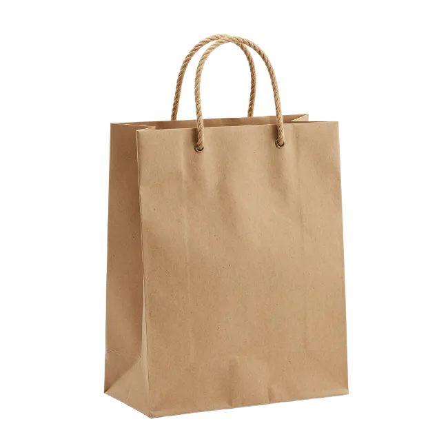 Brown paper shopping bag with rope handles
