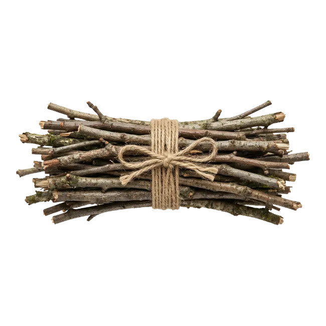 Bundle of Wooden Sticks Tied with Twine