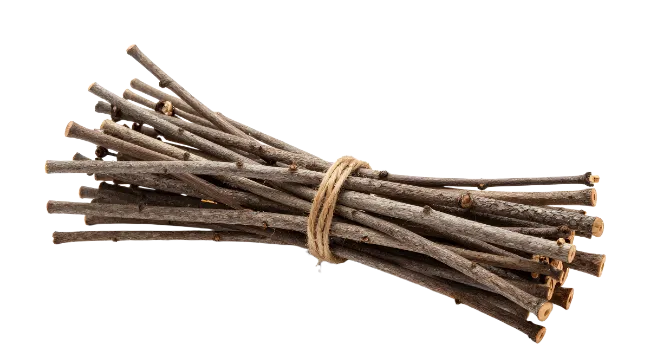 Bundle of Wooden Sticks Tied with Twine