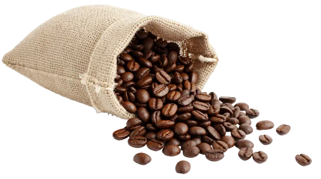Burlap Bag Spilling Roasted Coffee Beans