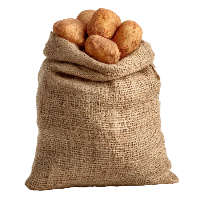Burlap Sack Filled With Fresh Potatoes