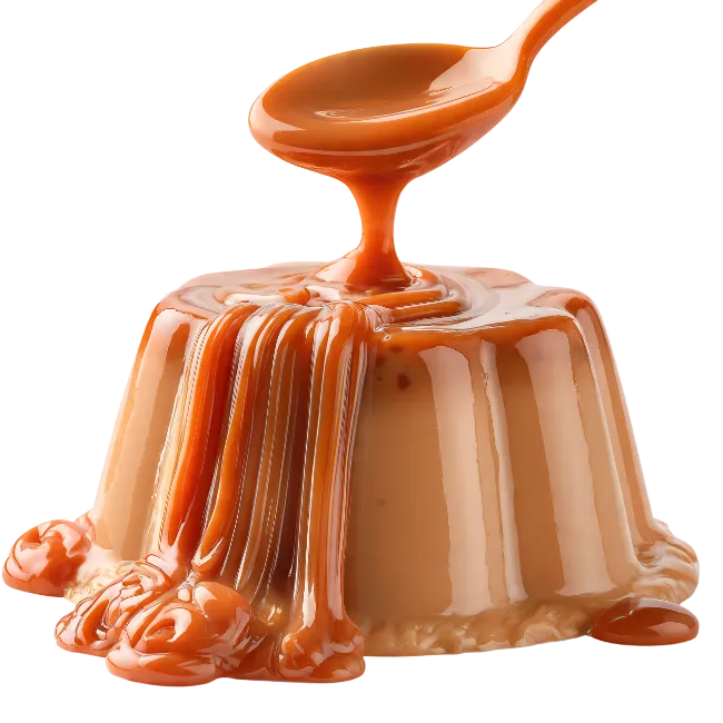 Caramel Pudding Drizzled with Sweet Caramel Sauce